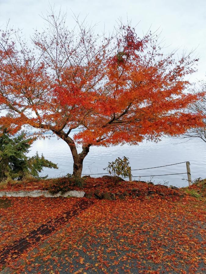 Vancouver Island Castle Cove Inn Chemainus Ngoại thất bức ảnh