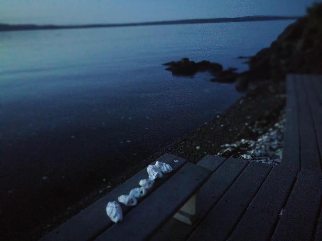 Vancouver Island Castle Cove Inn Chemainus Ngoại thất bức ảnh