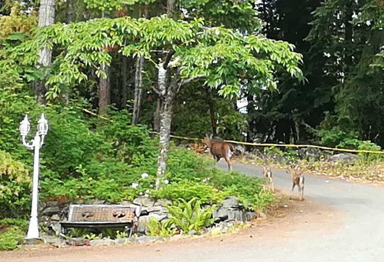 Vancouver Island Castle Cove Inn Chemainus Ngoại thất bức ảnh