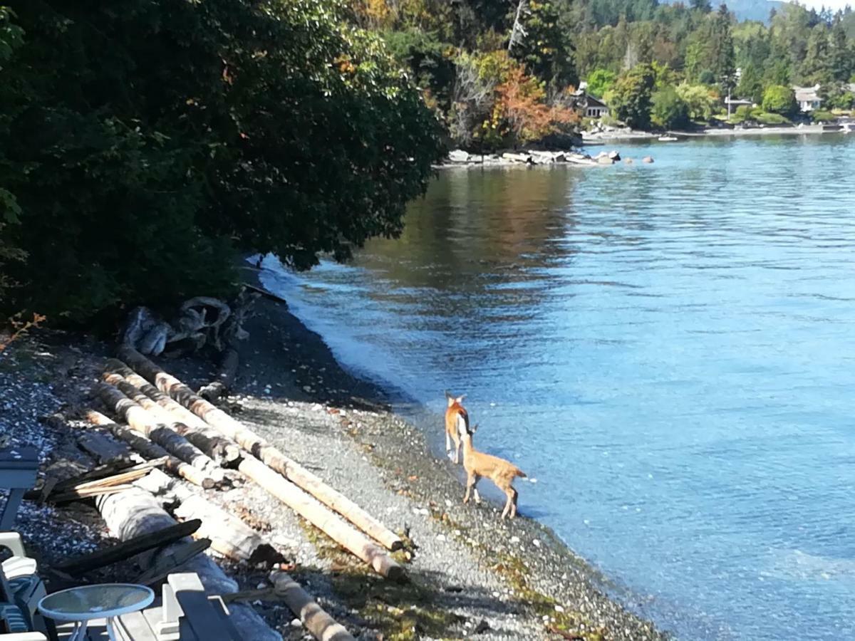 Vancouver Island Castle Cove Inn Chemainus Ngoại thất bức ảnh